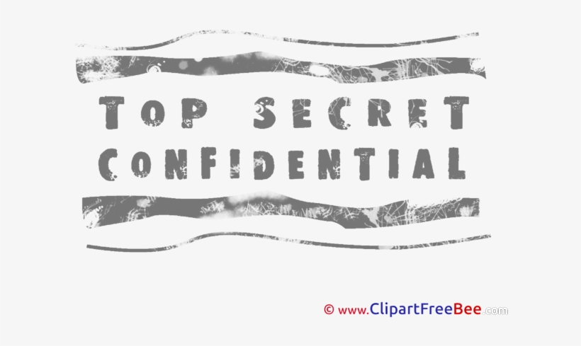 Snow, transparent png download