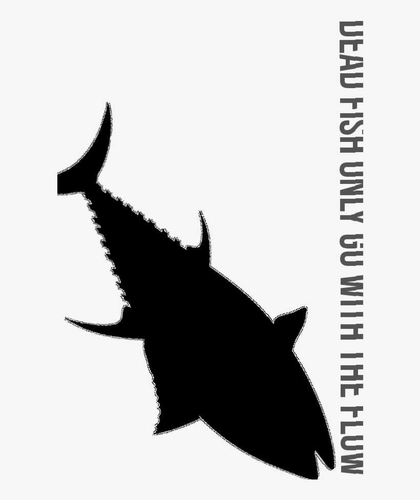 Model Image Graphic Image - Red Tuna, transparent png download