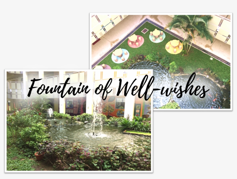 Backyard, transparent png download