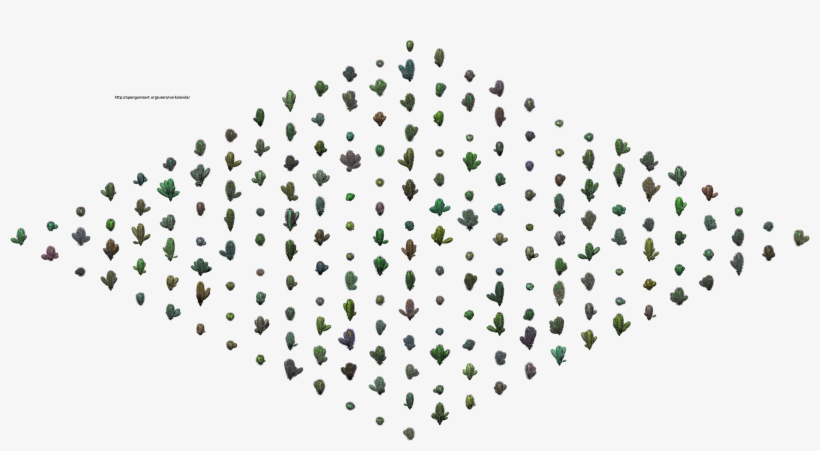 Hjm Randomized Multi Cacti 1a Alpha - 傳統 習俗 我 看見, transparent png download