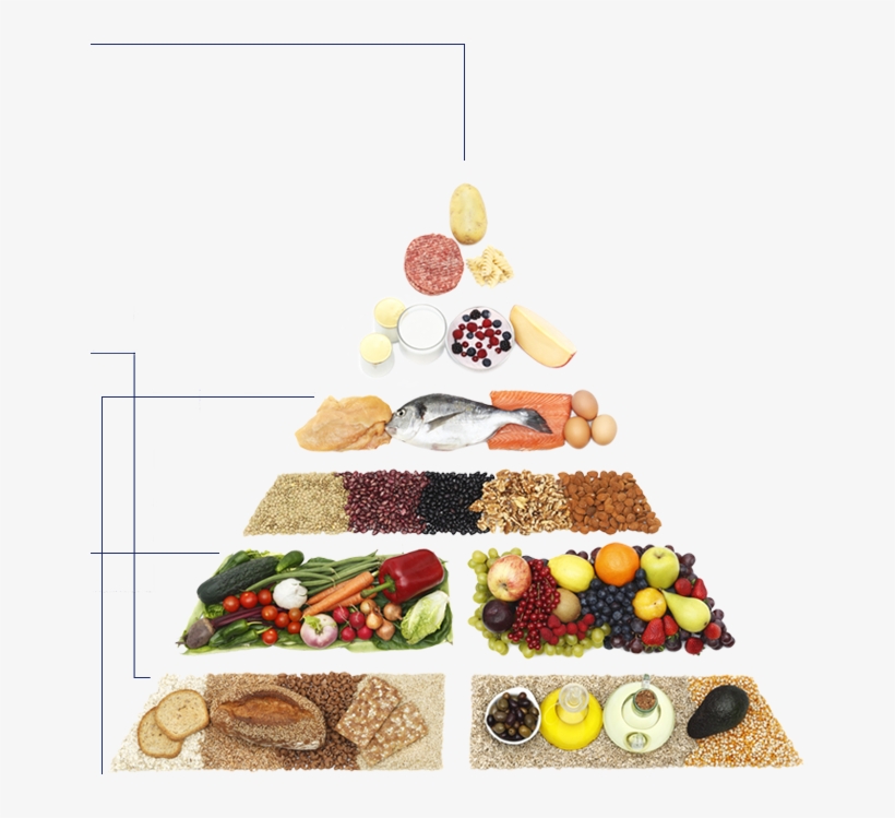 Education What Our Body Wants Vs - Besin Fotoğrafları, transparent png download