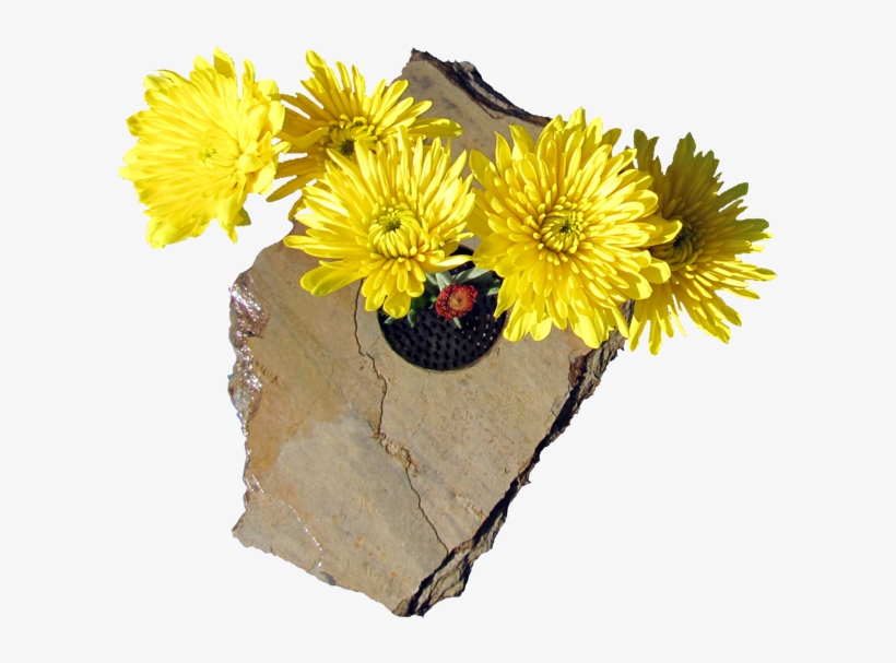 Image Of Slate Ikebana Vase - Chrysanths, transparent png download