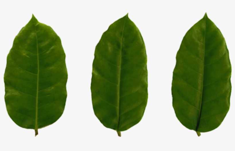 Plastic Texture Png, transparent png download