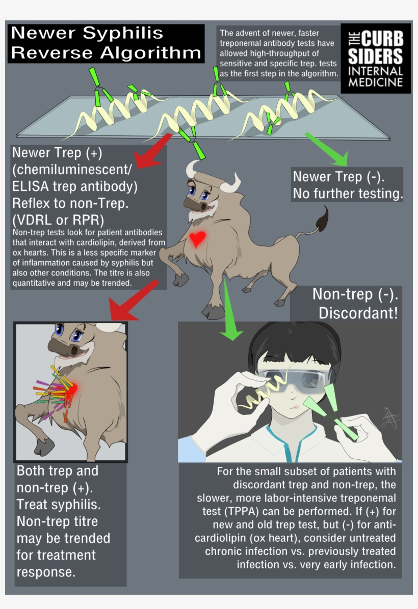 Stis New Syphilis Algorithm, transparent png download