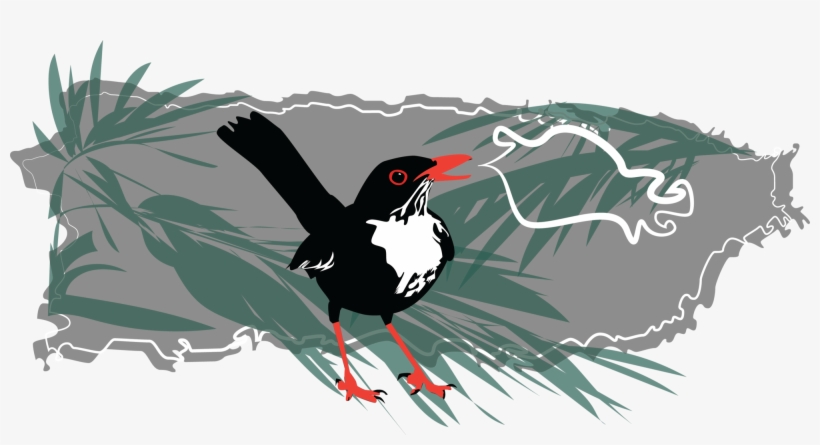 The Cuban Writer And Revolutionary José Martí Coined - Oystercatcher, transparent png download