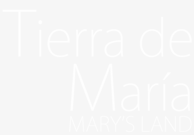 Tierra De María - Twitter White Icon Png, transparent png download