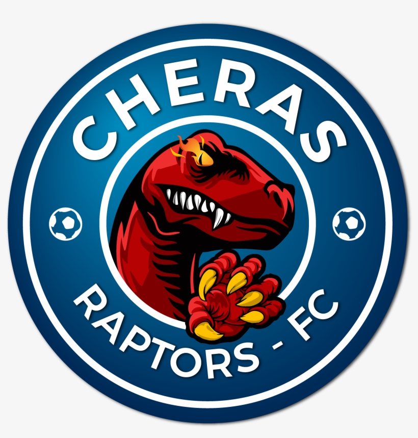 Logo - Never A Dull Cup Costa, transparent png download