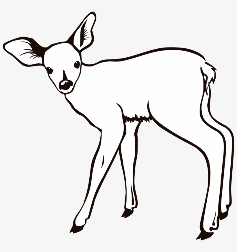 Fawn Outline, transparent png download