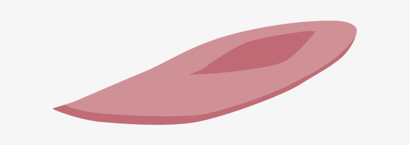 Surfboard / Surfing - Illustration, transparent png download