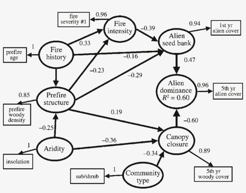 7 Structural Equation Model For Alien Dominance 5 Years - Diagram, transparent png download