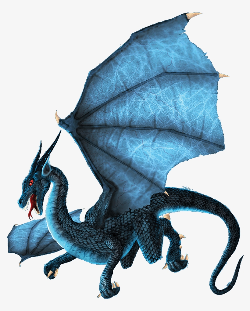 Choose An Option Below - Dragon, transparent png download