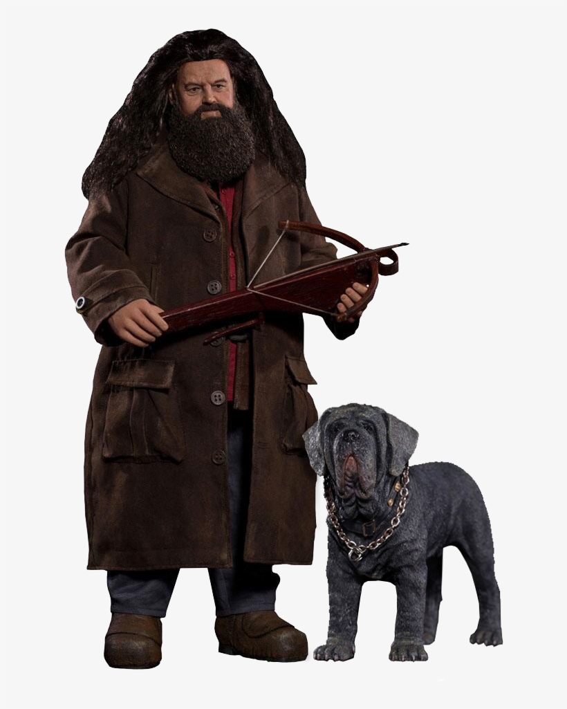 Neapolitan Mastiff Harry Potter