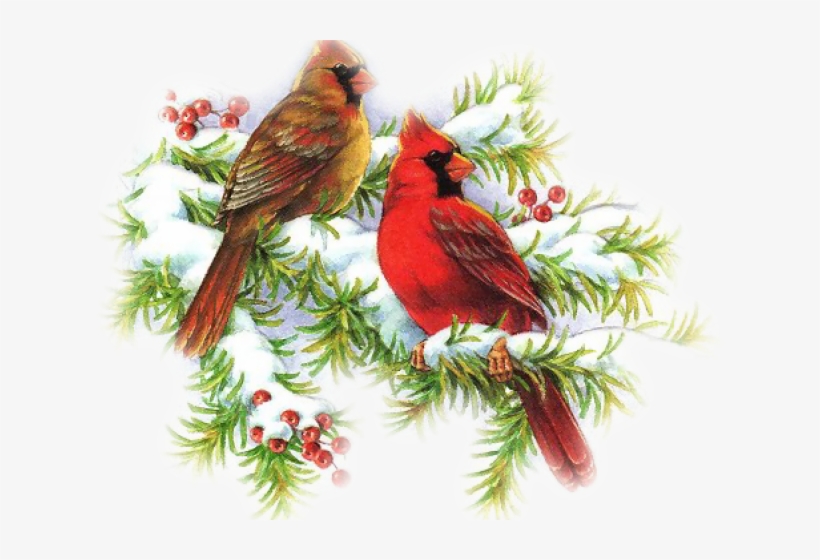 Cardinal Clipart Christmas - Png Christmas Cardinal, transparent png download