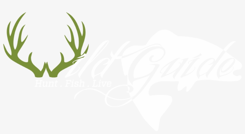 Wild Guide - Calligraphy, transparent png download