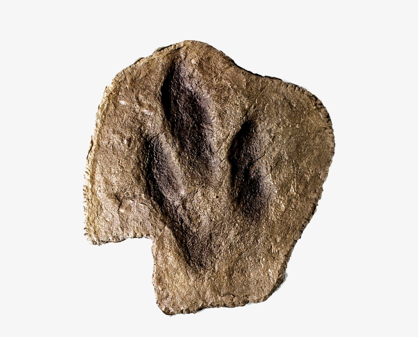 Before Dinosaurs - Igneous Rock, transparent png download