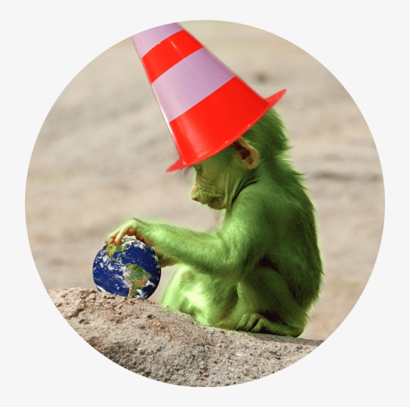 Chimpanzee, transparent png download