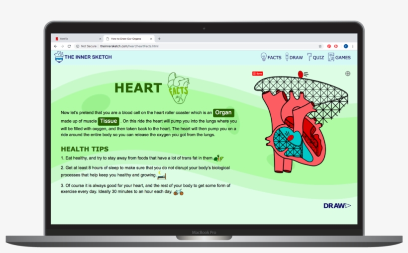 Innner Sketch Heart Facts, transparent png download