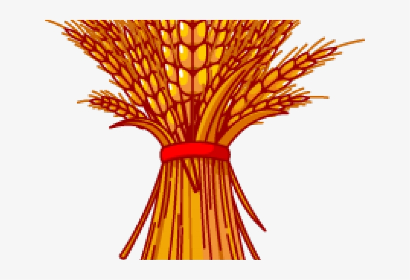 Wheat Clipart Wheat Field - Clip Art Grain, transparent png download