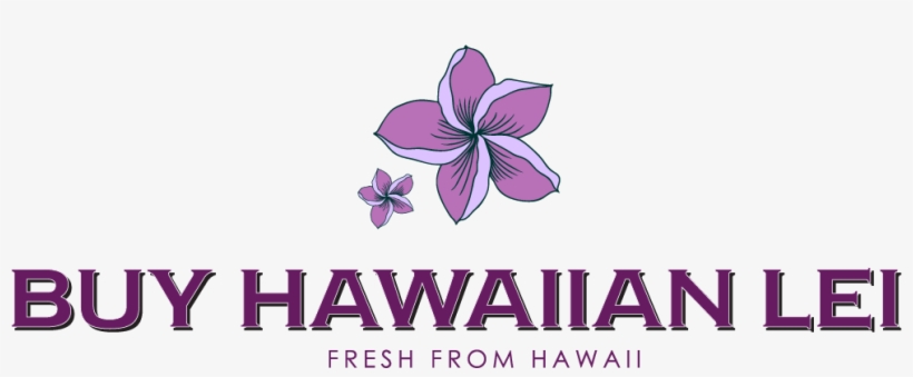 Buy Hawaiian Lei - Clematis, transparent png download