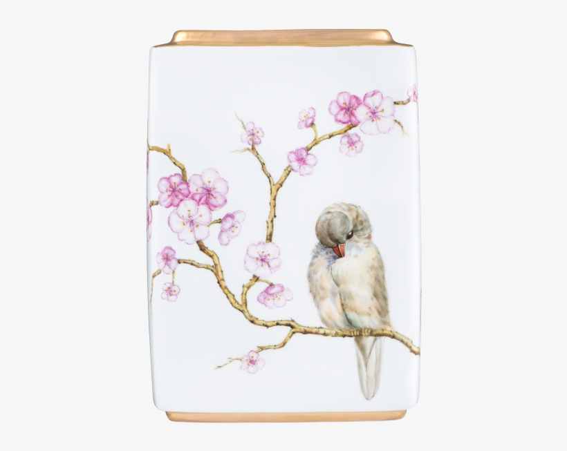 More Views - Cherry Blossom, transparent png download