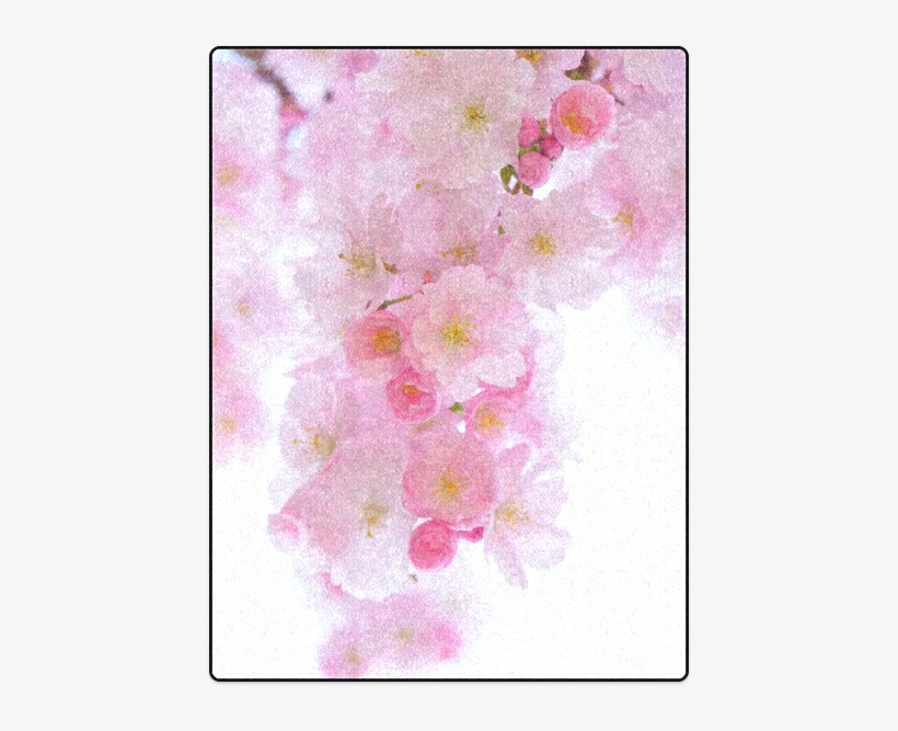 Beautiful Pink Japanese Cherry Tree Blossom Blanket - Cherry Blossom, transparent png download