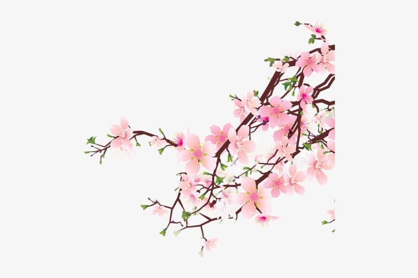 Cherry-blossoms 1 - Women Of The Old Testament 14 In-depth Bible Studies, transparent png download