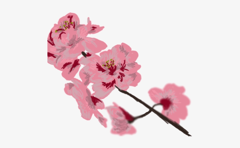 4y - Cherry Blossom, transparent png download