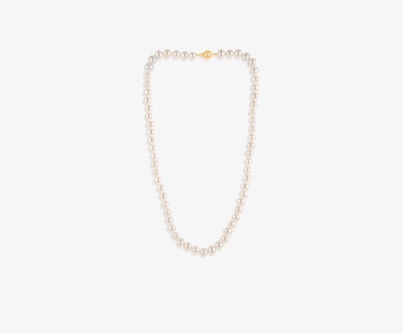 Pearls Vector Strand - Chain, transparent png download