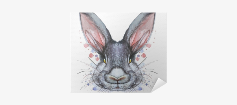 Painted Drawing With Watercolor Portrait Of An Animal - Kanin Tegning, transparent png download