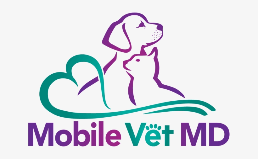 Fourth Of July Pet Safety - Pet, transparent png download