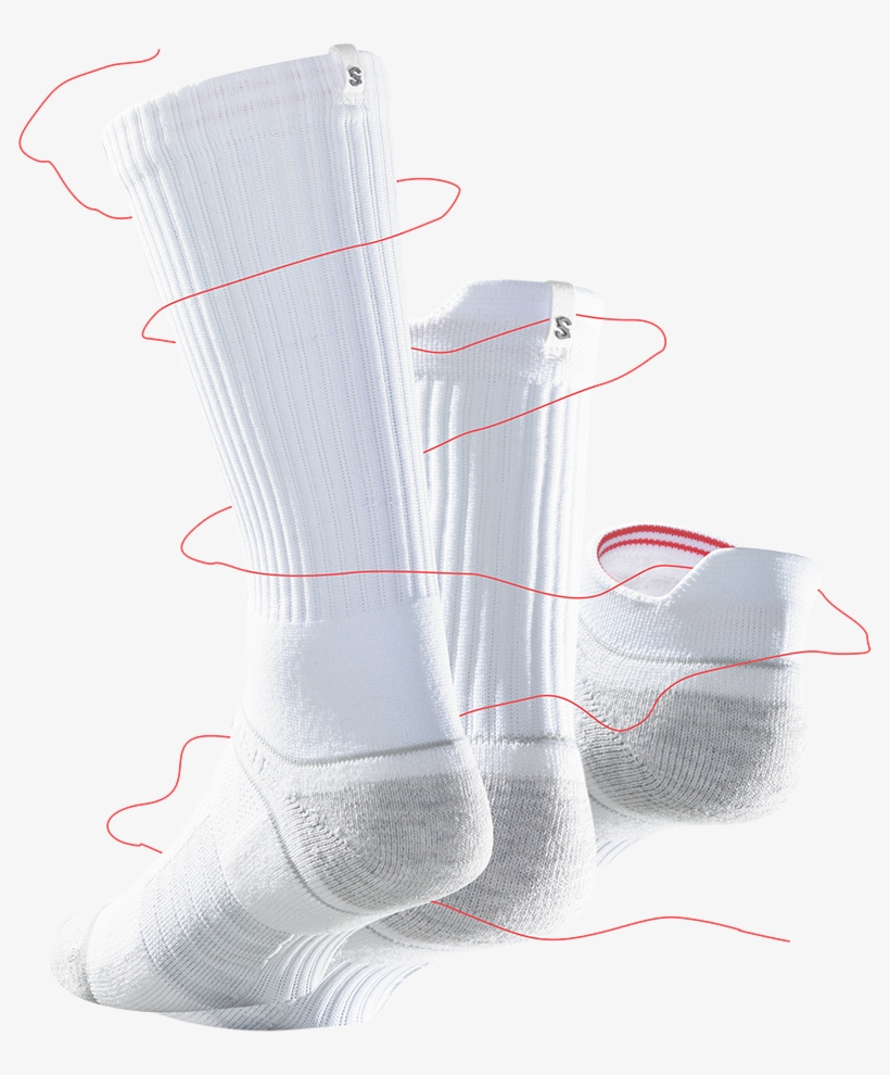 Cleveland Browns, transparent png download