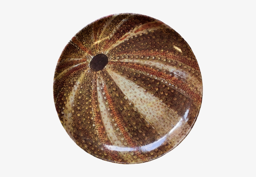 Sea Urchin Dinner Plate - Sea Urchin, transparent png download
