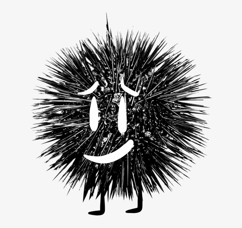 Uni - Photographer, transparent png download