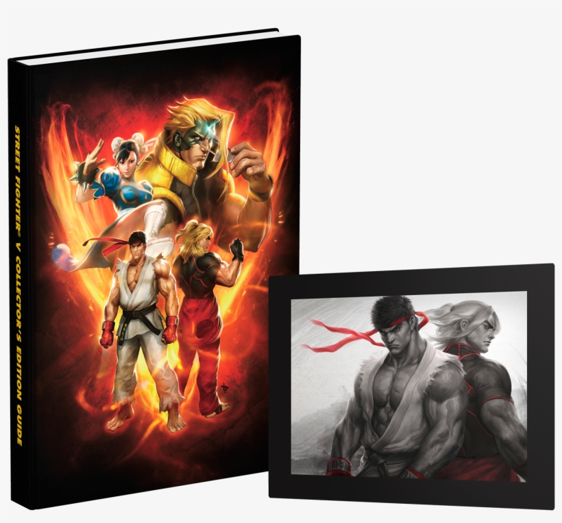 No Caption Provided - Street Fighter V Collector's Edition Strategy Guide, transparent png download