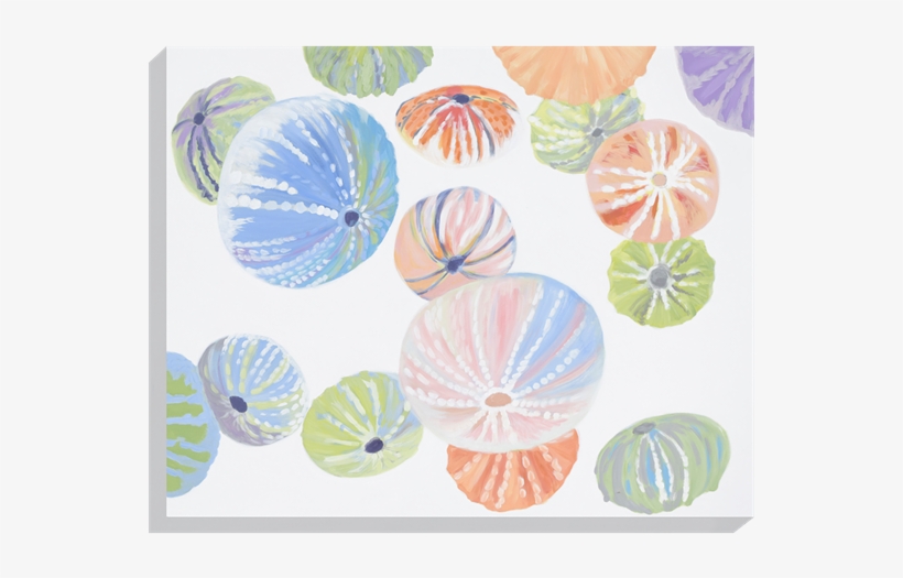 Sea Urchins - Canvas, transparent png download