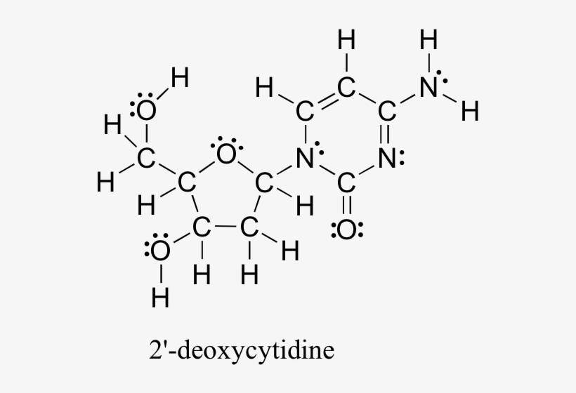 2'-deoxycytidine Contains Seven Heteroatoms - Drawing, transparent png download