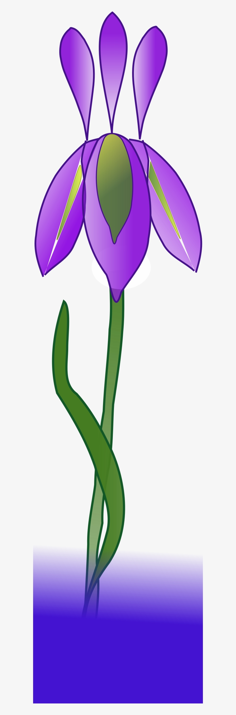 Iris Png, transparent png download