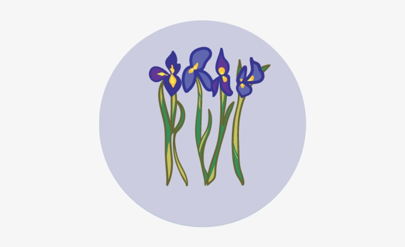 Yellow Iris, transparent png download