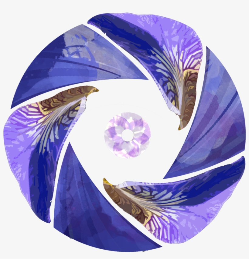 Iris Flower Png, transparent png download
