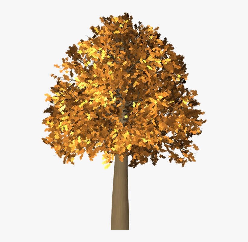Tree Leaves Autumn - Arboles De Otoño Png, transparent png download