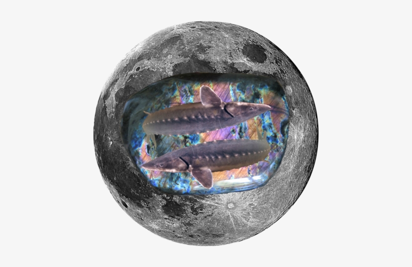 Changed In The Night, transparent png download