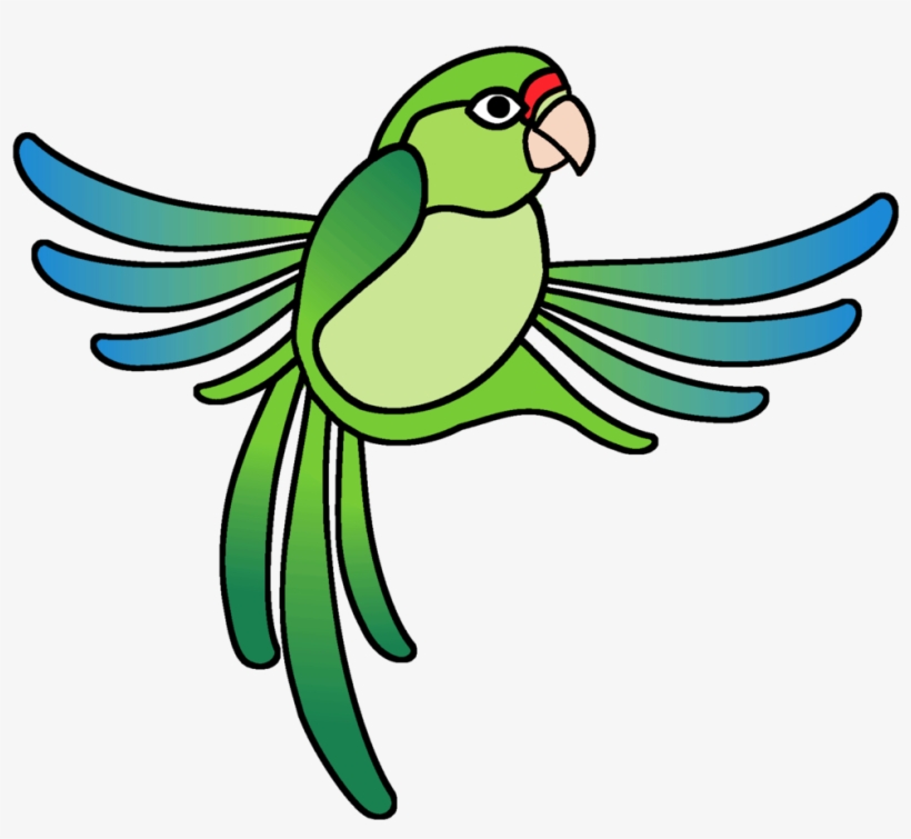 Birding Rainforest Inn Boutique Bed And Breakfast - Puerto Rican Parrot Transparent, transparent png download