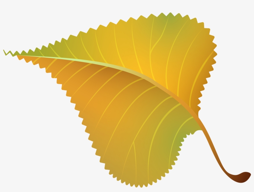 Yellow Leaf Clipart, Explore Pictures - Special Edition Vector, transparent png download