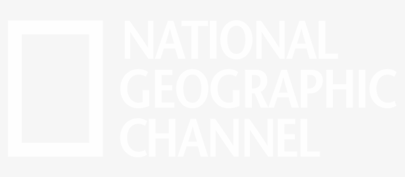 1 X - National Geographic Plush Giant Plush Giant Lion, transparent png download