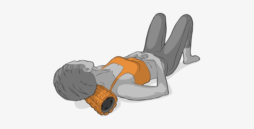 Foam Roller Clipart Png - Clip Art, transparent png download