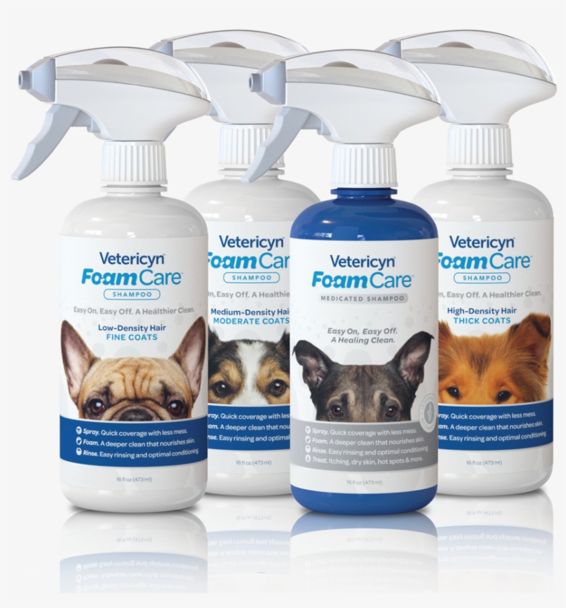 Foam Care Shampoo, transparent png download