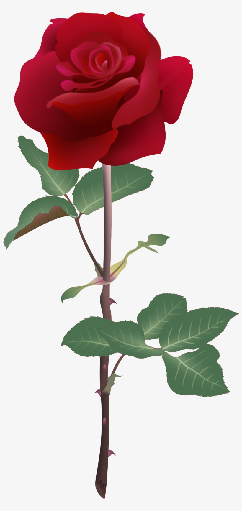 Rubyrose@2x - Rose Vector Art, transparent png download