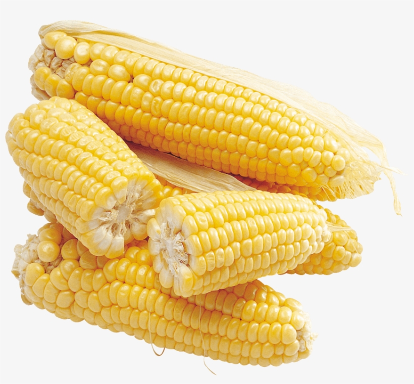 Download Corn Png Images Background - Кукуруза Png, transparent png download