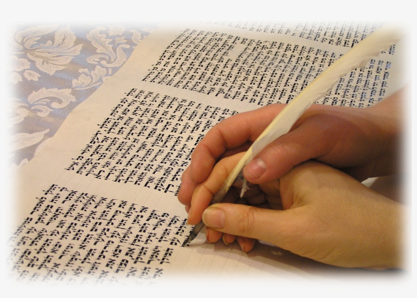 The New Torah Is The First In Texas Written By Woman - Congregation Agudas Achim Torah, transparent png download