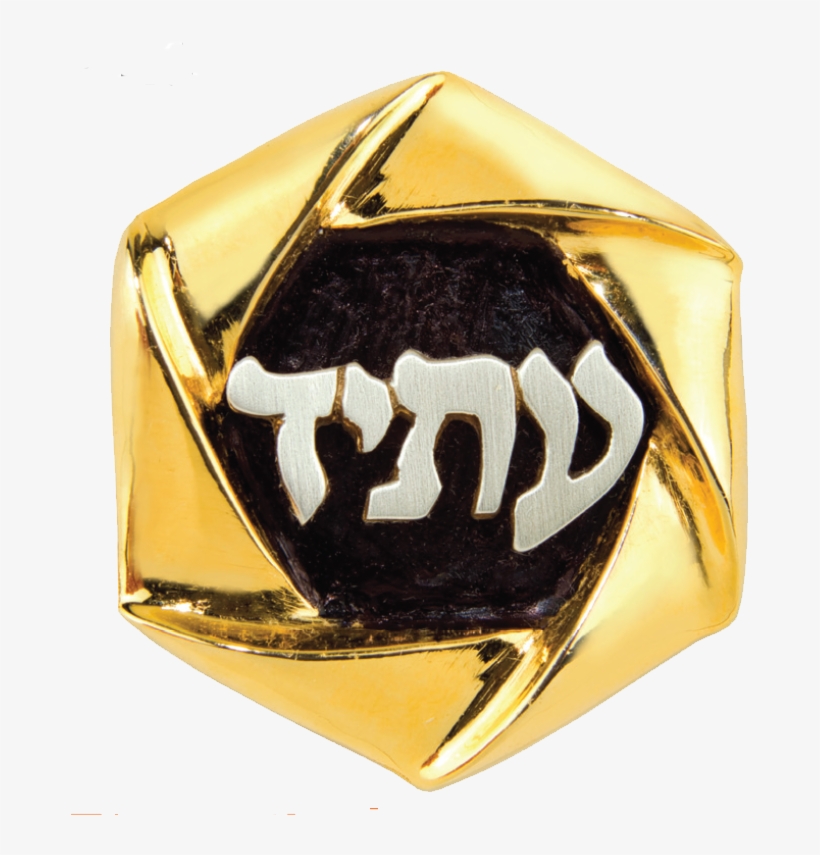 2018 2021 Torah Fund Pin - Ring, transparent png download